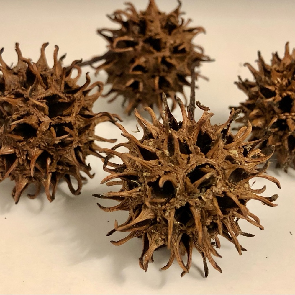 Rustic Brown Spiky Decorative Orbs